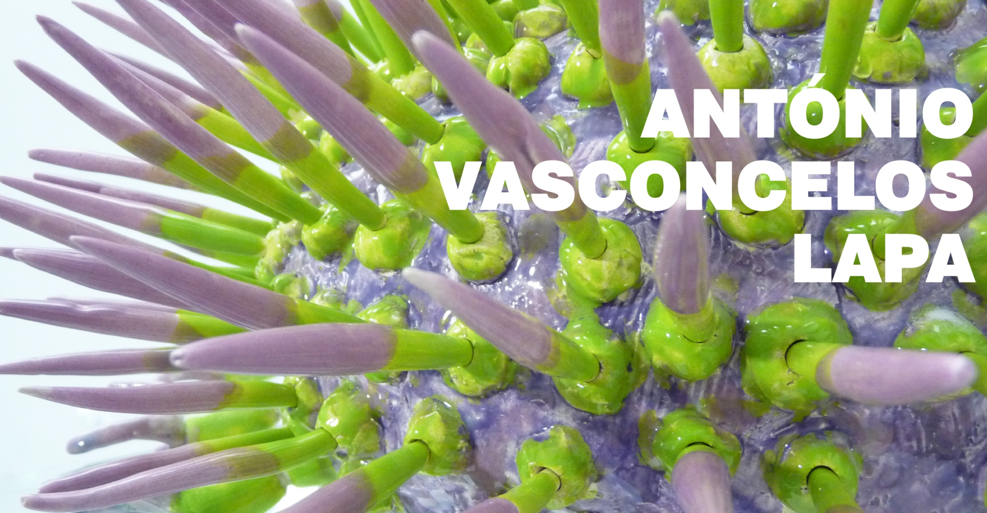 Cerâmica Contemporânea de António Vasconcelos Lapa