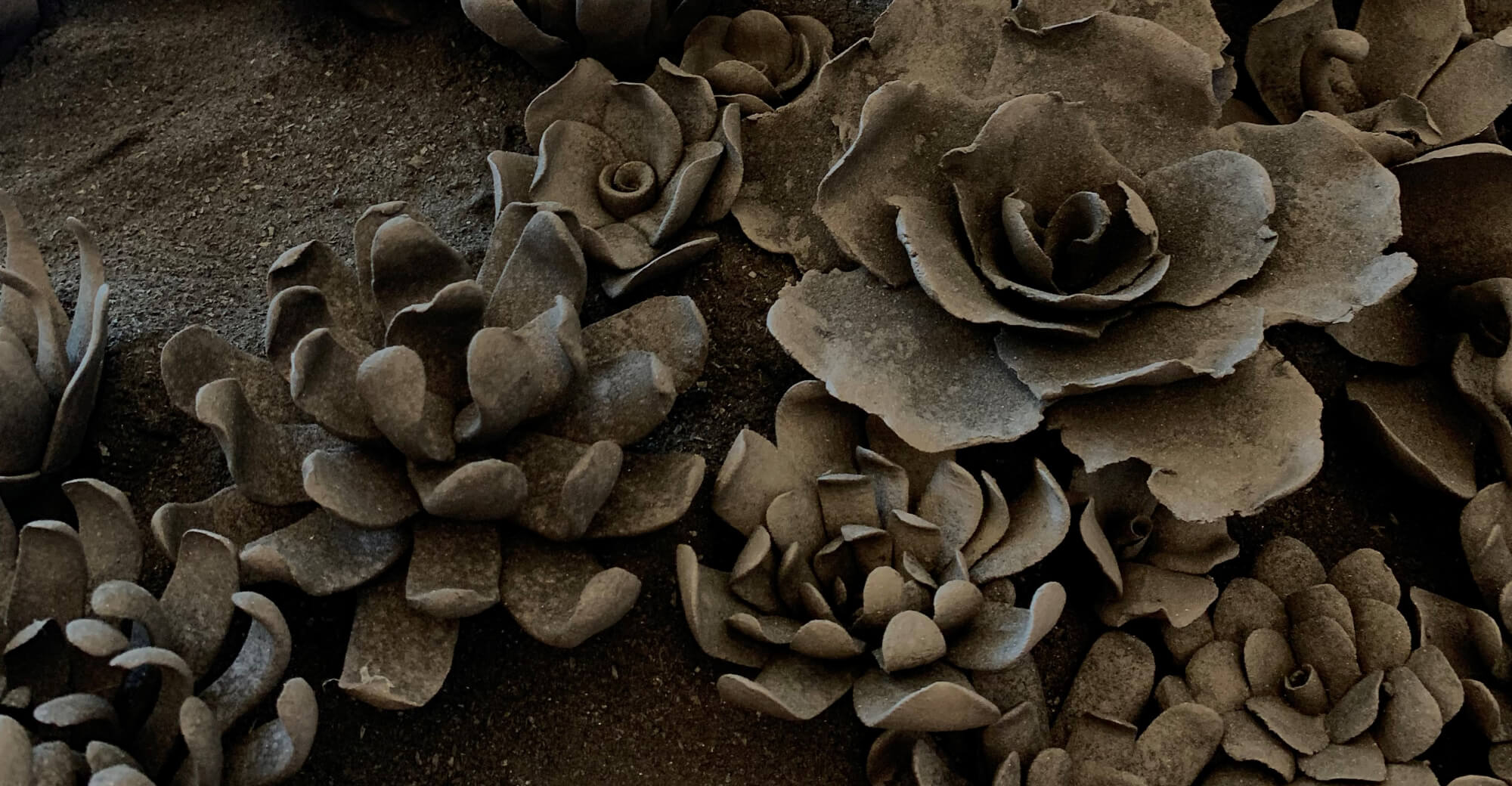A Flora e a Botânica na Cerâmica Barcelense por Lisa Barbosa 