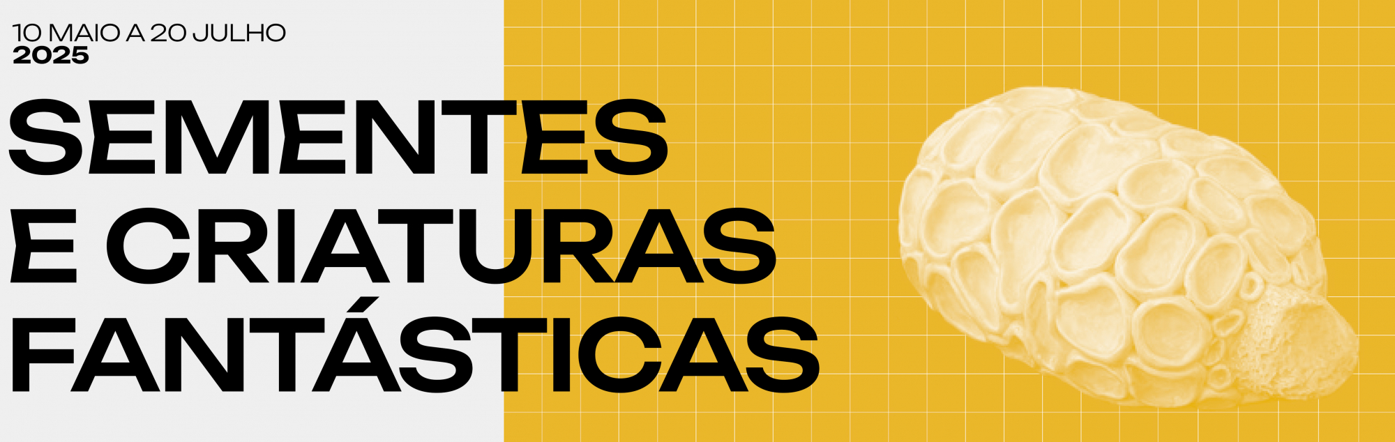 Sementes e Criaturas Fantásticas de Maya Kempe 