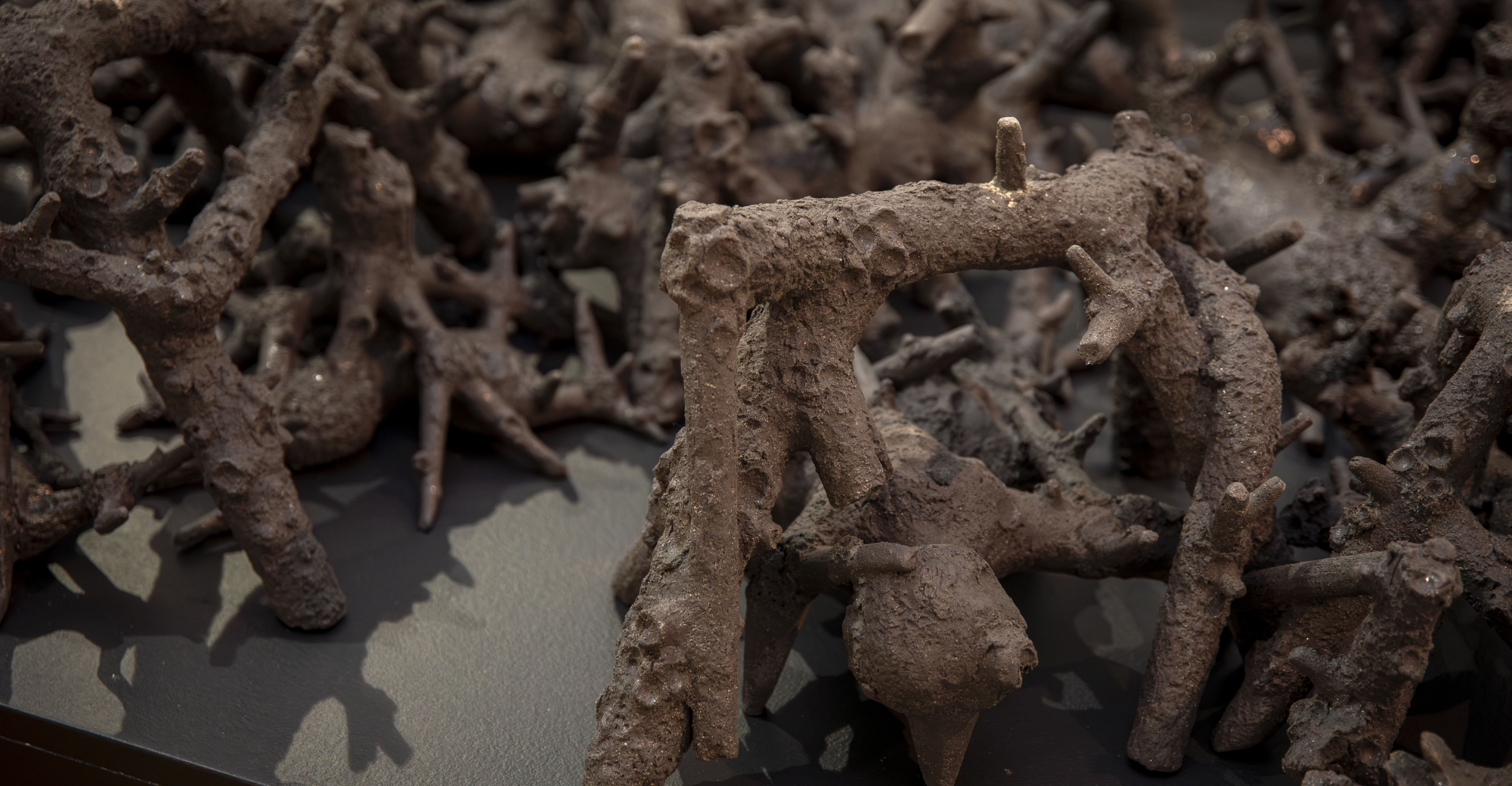 Da Terra e do Céu - A Bienal em Movimento