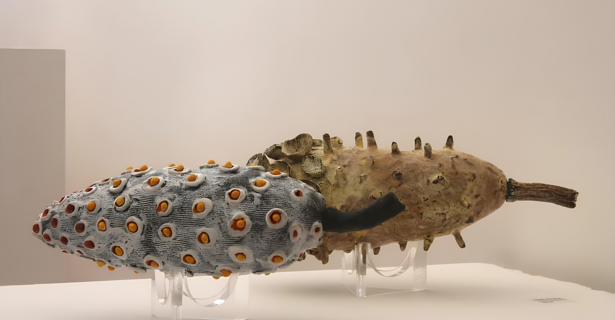 Cerâmica Contemporânea de António Vasconcelos Lapa