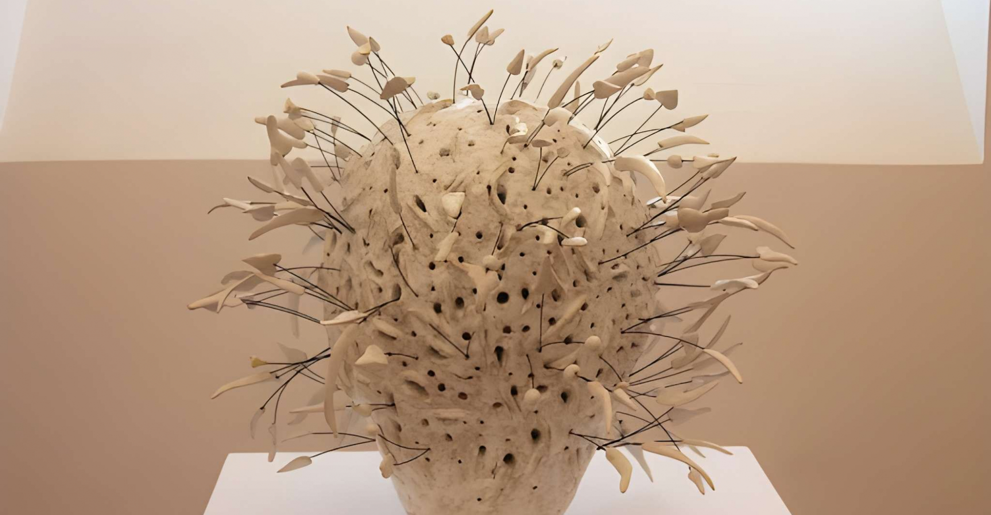 Cerâmica Contemporânea de António Vasconcelos Lapa