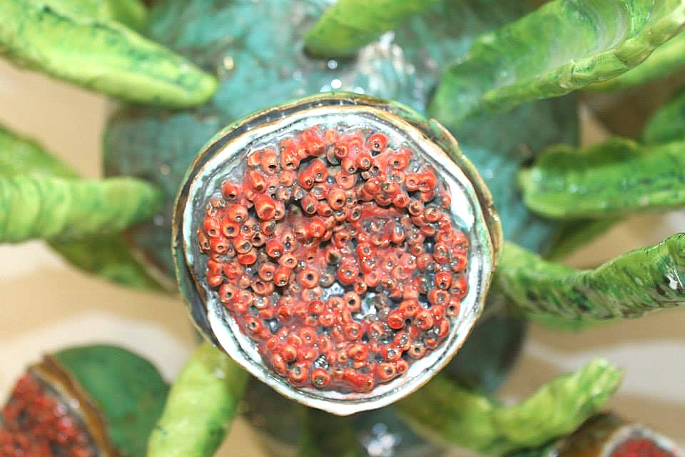 Cerâmica Contemporânea de António Vasconcelos Lapa