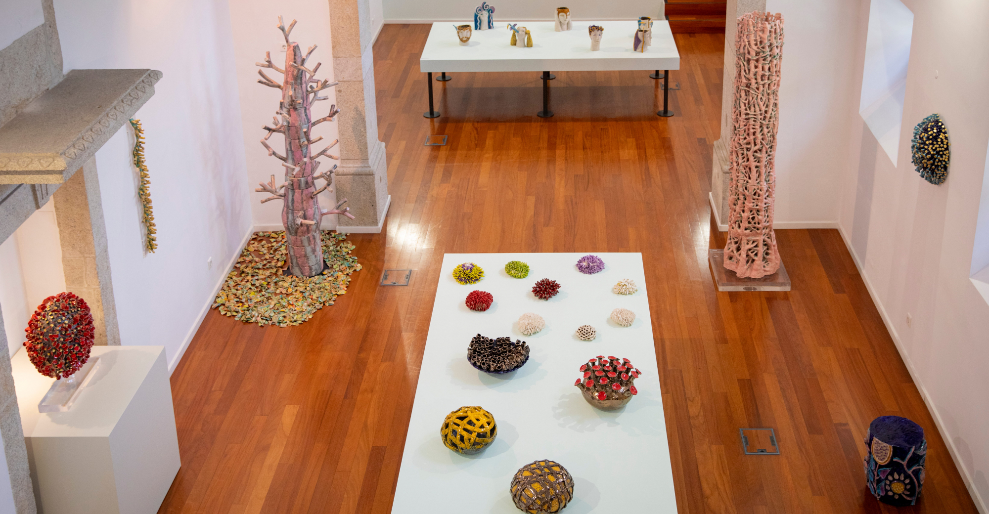 Os Olhos na ponta dos dedos de António Vasconcelos Lapa