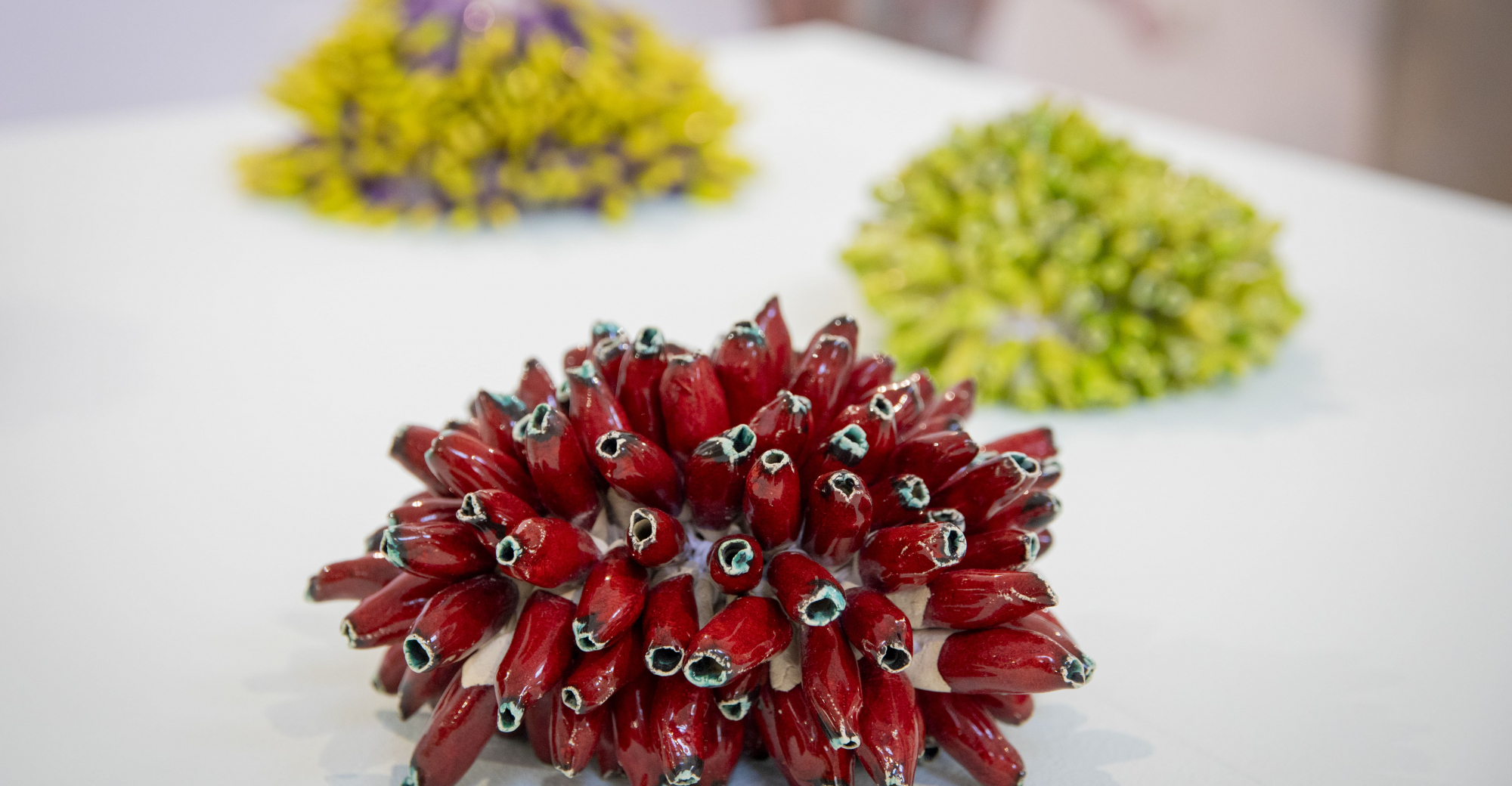 Os Olhos na ponta dos dedos de António Vasconcelos Lapa