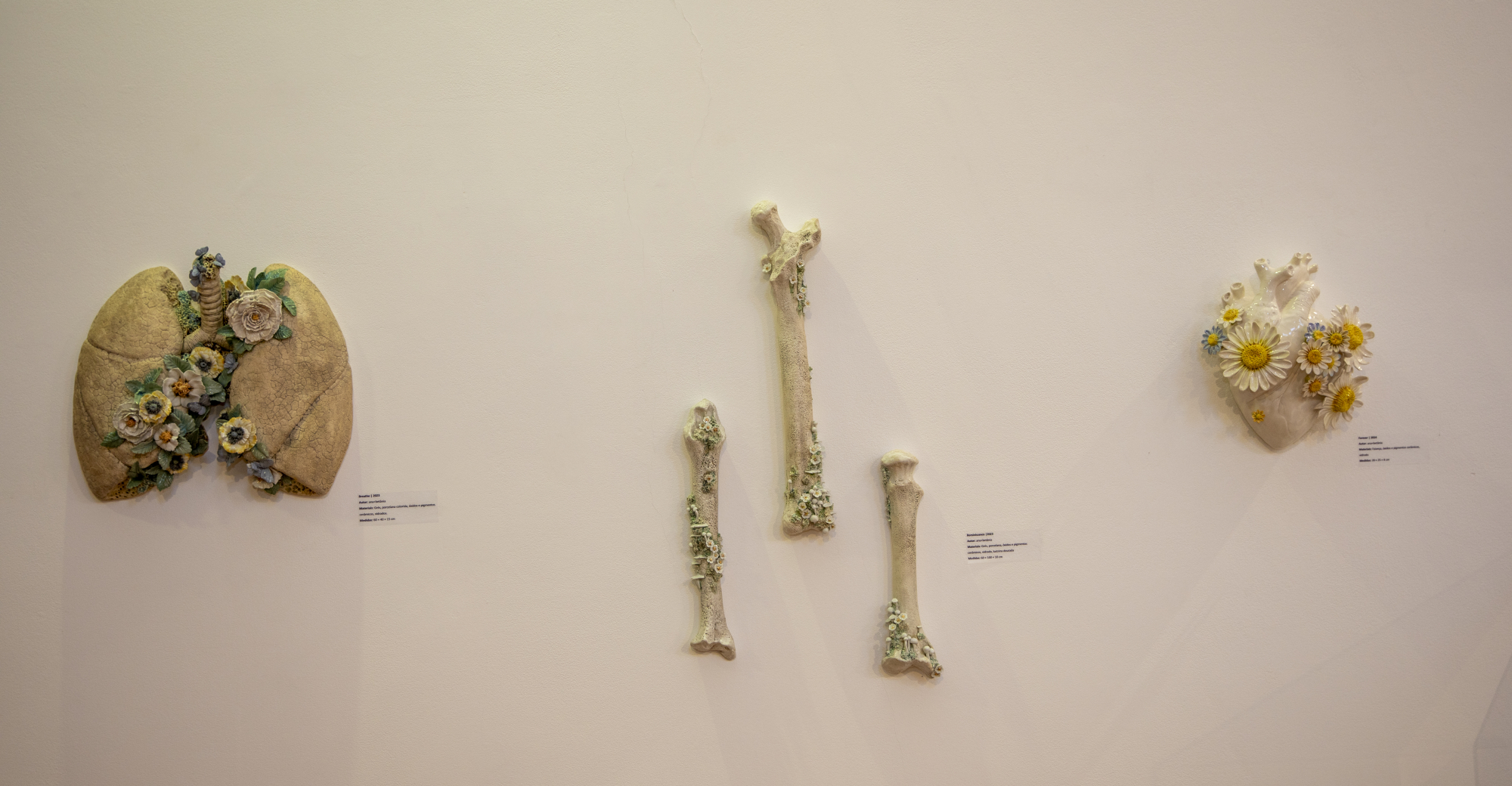 Diálogos entre o Fogo e o Barro
