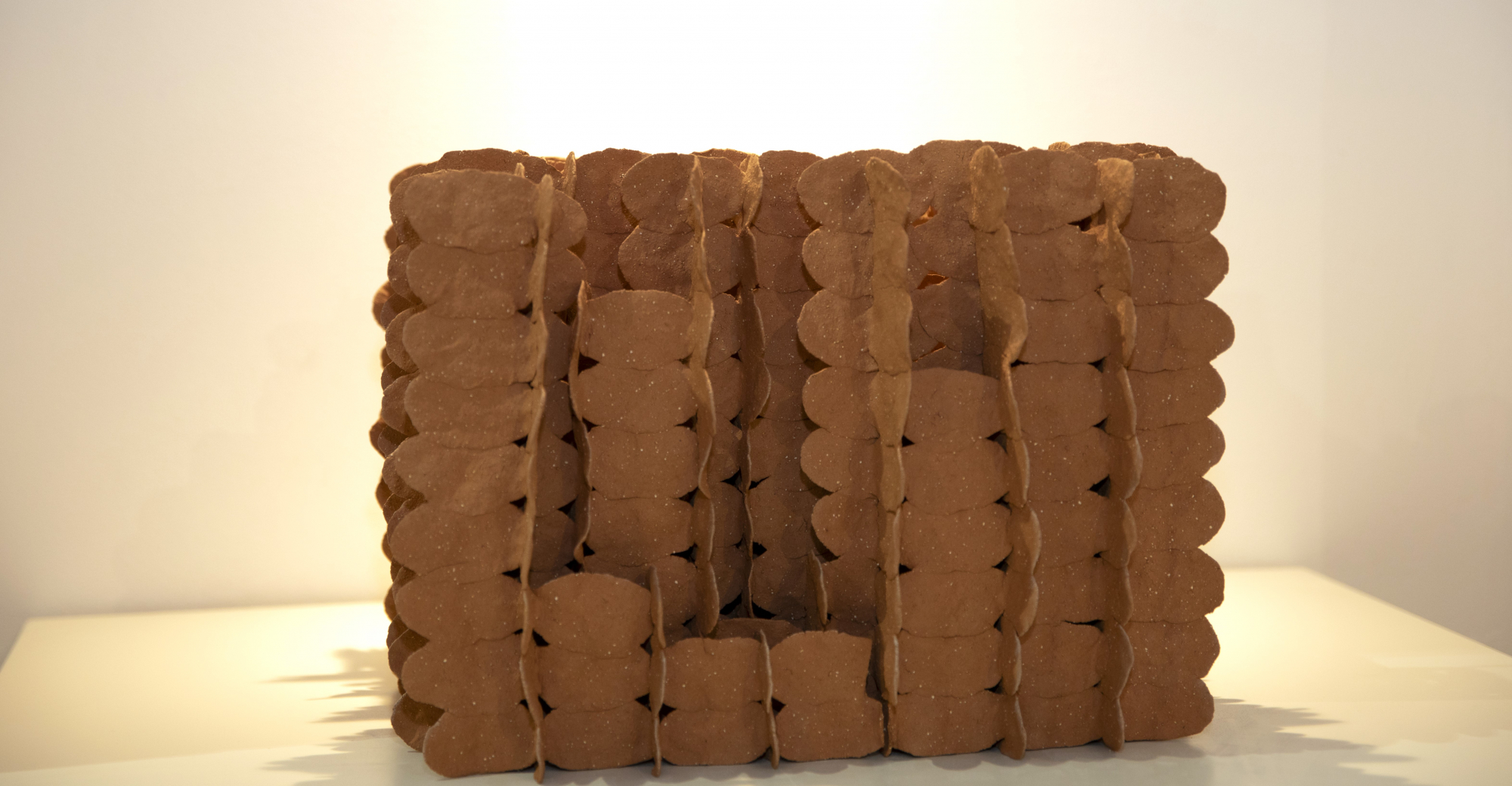 Da Terra e do Céu - A Bienal em Movimento