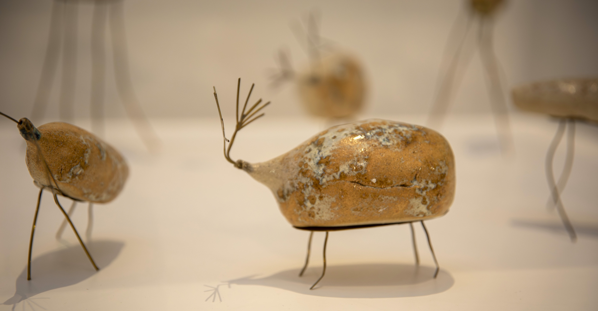 Da Terra e do Céu - A Bienal em Movimento